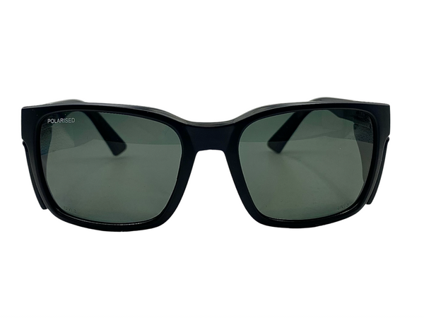 Polarised 6206 Mat Black frame smoke lens and matching side shields